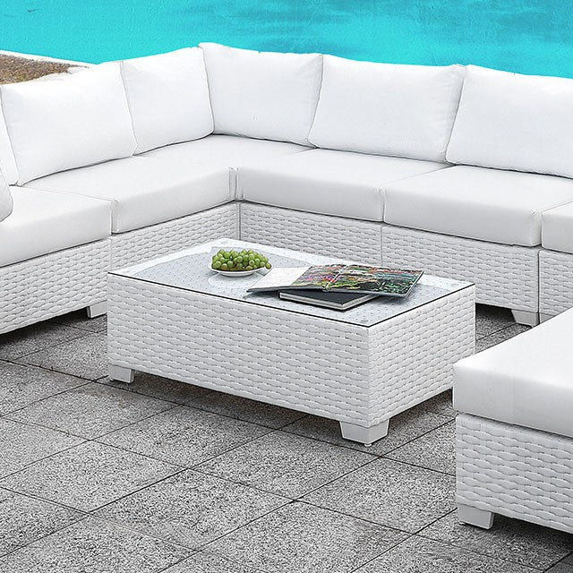 Somani-U-Sectional + Coffee Table